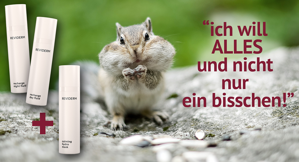 facebookanzeigen-gestalten-lassen-bamberg